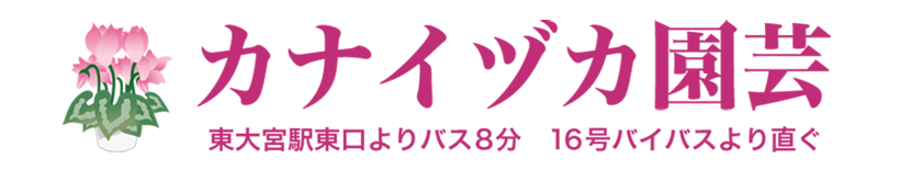 シクラメン生産直売 カナイヅカ園芸